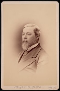 1881 से पहले हेनरी डेविड कुक 1825-1881 का पोर्ट्रेट। द्वारा चार्ल्स मिल्टन बेल