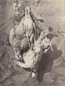 [स्टिल लाइफ विथ गेम बर्ड्स], 1859। द्वारा चार्ल्स नेग्रे