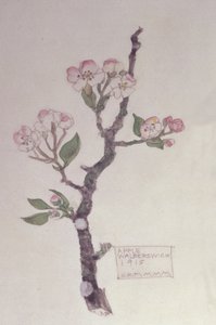 Apple, वाल्बरविक, 1915 (पेंसिल और wc)