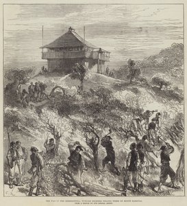 हर्ज़ेगोविना में युद्ध, तुर्की सैनिकों ने माउंट करौला पर पेड़ों की कटाई की