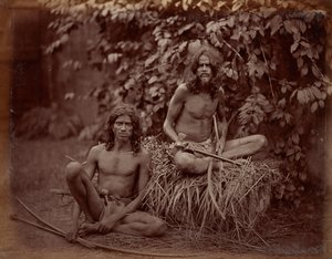  द्वारा चार्ल्स टी. स्कोवेन