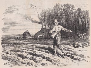 स्कैटरिंग सीड, ले मैगासिन पित्तोरेस्क, मई 1857 से।