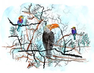 बर्ड इन ट्री, 2018 (कलम, स्याही और जल रंग) द्वारा शार्लोट ओर्री