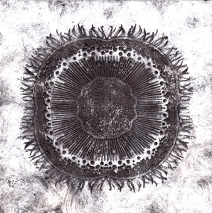 प्लांट सेल, 2019 (शुष्क बिंदु नक़्क़ाशी)