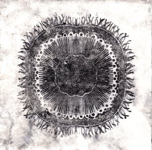 प्लांट सेल, 2019 (शुष्क बिंदु नक़्क़ाशी)