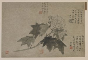 लकड़ी peony की एक शाखा, संभवतः किंग वंश (कागज पर स्याही)