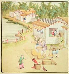 चीनी किसान चावल भेजते हैं द्वारा चीनी स्कूल