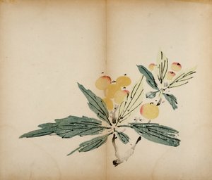 टेन बांस स्टूडियो प्रिंट्स, 1643 (वुडब्लॉक) द्वारा चीनी स्कूल