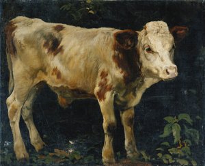 एक बुल बछड़ा, 1876