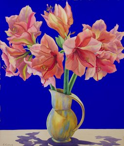 Amaryllis in a jug, 2007 (wc and gouache on paper)
