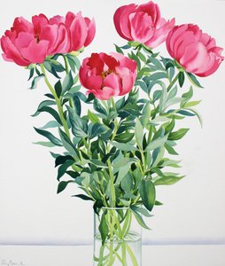 Peonies (कागज पर पानी के रंग)