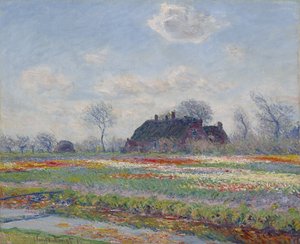 ट्यूलिप फील्ड्स एट सासेनहेम, 1886 द्वारा Claude Monet
