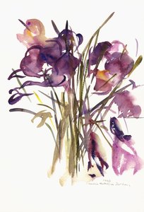 क्रोकस, 2003 (वॉटरकलर)