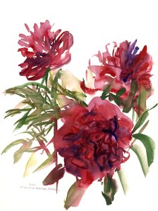 Peonies, 2002 (जल रंग)
