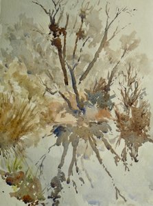  द्वारा क्लाइव विल्सन