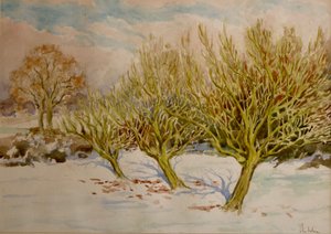  द्वारा क्लाइव विल्सन