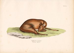  द्वारा कॉनराड कुल्लू