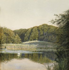 पैडिंगटन तालाब पर स्वांस, 1860s (कागज पर wc)