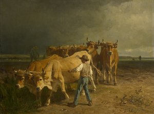 बैलों की जुताई, 1860