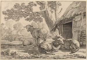भेड़कोट द्वारा Cornelis Ploos van Amstel
