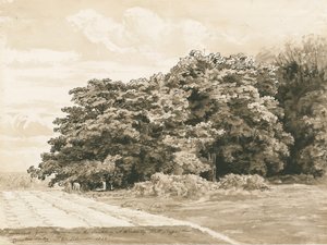 व्रोटेस्ले हॉल - द श्रॉबरी: सीपिया ड्राइंग, 1820 द्वारा कॉर्नेलियस वर्ली