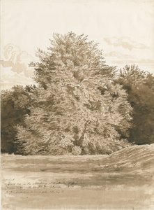व्रोटेस्ले हॉल - द श्रॉबरी: सीपिया ड्राइंग, 1820 द्वारा कॉर्नेलियस वर्ली