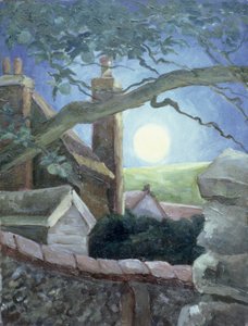 हार्वेस्ट मून, 1996