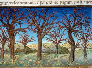 दुनिया का अंत: पेड़ों को रक्त से ढक दिया जाएगा (c.147v)। 1476 द्वारा क्रिस्टोफोरो डी प्रेडिस