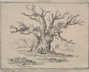 फेयरलोप ओक, 1811। द्वारा डीएच रेडमैन