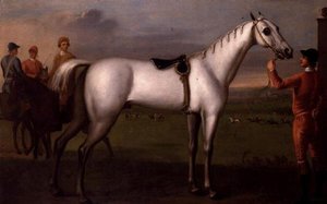 धूसर घुड़दौड़ का घोड़ा पकड़े हुए दूल्हा द्वारा डी। Quigley