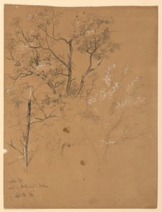 जैक्सन, न्यू हैम्पशायर की सड़क पर मेपल टॉप द्वारा डैनियल हंटिंगटन