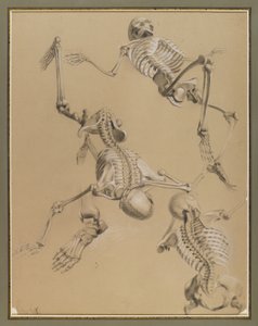 कंकाल का अध्ययन, 1848 (कागज पर चाक)