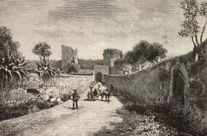  द्वारा डांटे पाओलोक्की