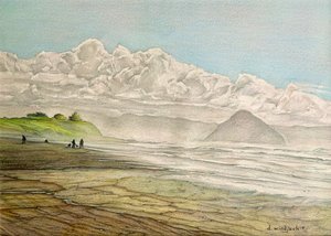  द्वारा डैरेल विंडजैक