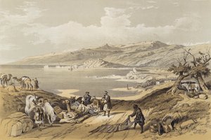 लेबनान की ओर देख रहे सिडोन (कलर लिथो) द्वारा डेविड (बाद में) रॉबर्ट्स