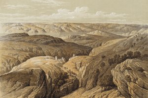 एंगेडी का जंगल (रंग लिथो) द्वारा डेविड (बाद में) रॉबर्ट्स