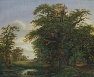 ओक वुड, 1847 द्वारा डेविड क्रिस्टोफर मेट्टलरकैंप