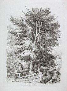बीच नं। 18, युवा शुरुआती के लिए लैंडस्केप पर प्रगतिशील सबक से चित्रण, 1816 (नरम जमीन नक़्क़ाशी) द्वारा डेविड कॉक्स