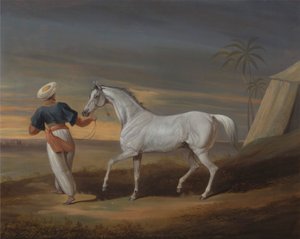  द्वारा David Dalby of York