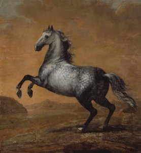 द लिटिल इंग्लिशमैन, किंग कार्ल XI (1655-97) का घोड़ा