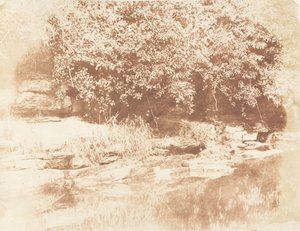 बर्नसाइड, बादाम नदी में मुरली द्वीप, 1843-47। निर्माता: डेविड ऑक्टेवियस हिल, रॉबर्ट एडमसन, हिल और एडमसन। द्वारा हिल और एडमसन