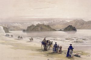 आइल ऑफ ग्रेवी, अकाब की खाड़ी, अरब पेट्राए, फरवरी 27, 1839, लुई हागे (1806-85) पब द्वारा उत्कीर्ण &39;द होली लैंड&39; के वॉल्यूम III से प्लेट 108। 1849 द्वारा डेविड रॉबर्ट्स