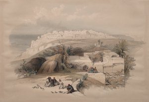  द्वारा डेविड रॉबर्ट्स