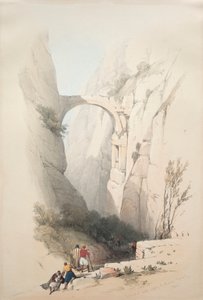  द्वारा डेविड रॉबर्ट्स
