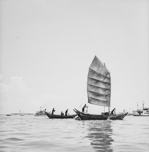  द्वारा डेविड वॉटकिन वाटर्स