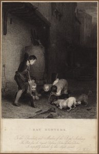 चूहे के शिकार द्वारा डेविड विल्की
