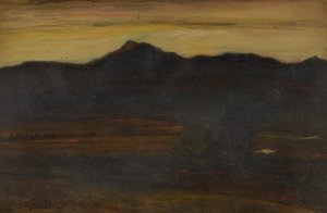  द्वारा डेविड यंग कैमरून