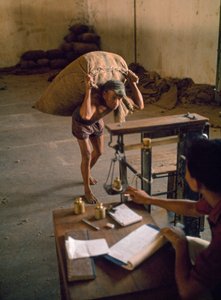  द्वारा डीन कांगर