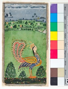 एक महिला के सिर के साथ पौराणिक मोर, c.1750 (कागज पर अपारदर्शी w - c और सोना)