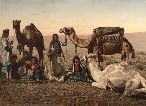 रेगिस्तान में ऊंटों का हाल्टिंग, पवित्र भूमि, c.1890 (फोटोमैकेनिकल प्रिंट) द्वारा डेट्रोइट फोटोग्राफिक कंपनी